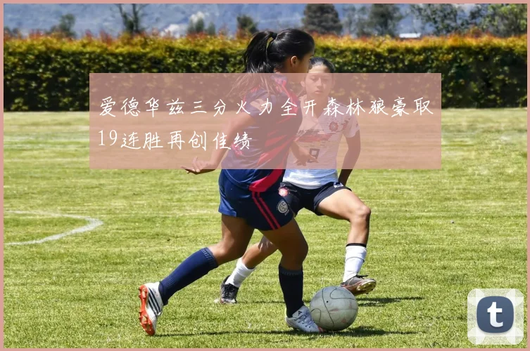 爱德华兹三分火力全开森林狼豪取19连胜再创佳绩